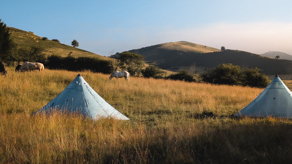 Vista de un paisaje de montaña en Asturias con dos tiendas de campaña azules y caballos pastando en un campo de hierba alta al atardecer.