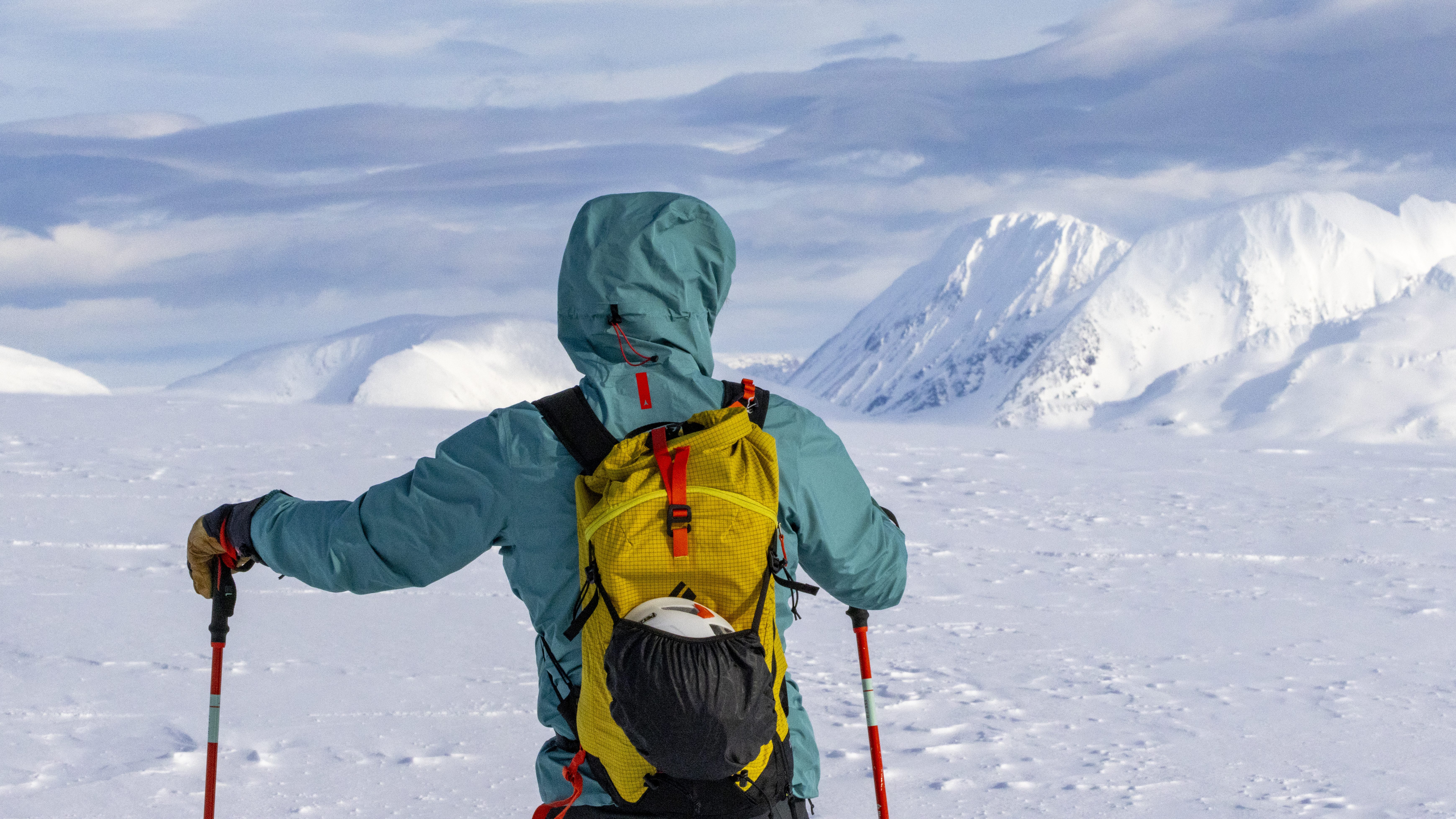 Persona de espaldas mirando hacia un paisaje nevado con montañas al fondo.